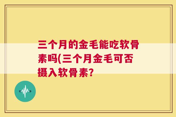 三个月的金毛能吃软骨素吗(三个月金毛可否摄入软骨素？