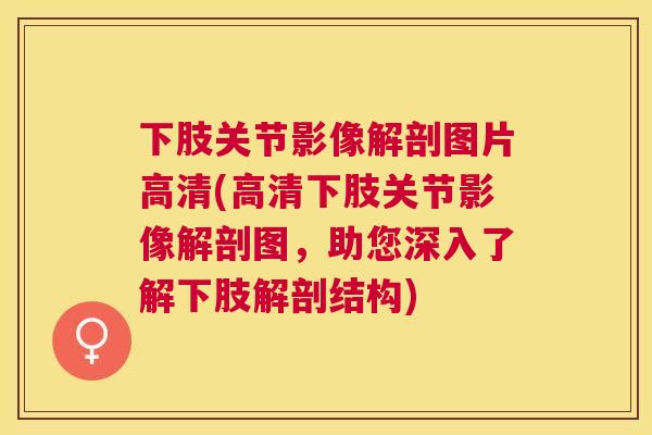下肢关节影像解剖图片高清(高清下肢关节影像解剖图，助您深入了解下肢解剖结构)