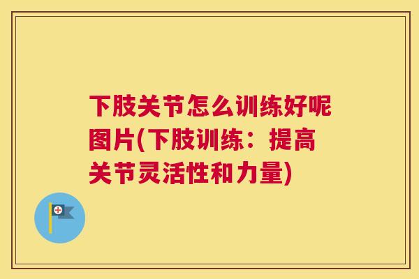 下肢关节怎么训练好呢图片(下肢训练：提高关节灵活性和力量)