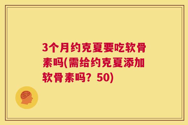 3个月约克夏要吃软骨素吗(需给约克夏添加软骨素吗？50)