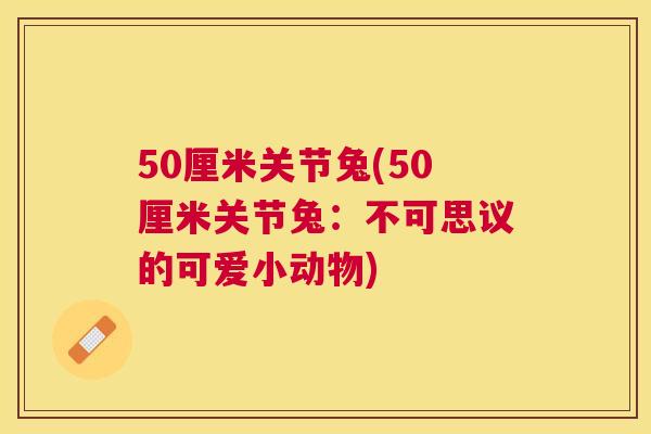 50厘米关节兔(50厘米关节兔：不可思议的可爱小动物)