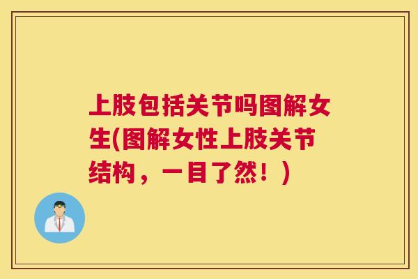 上肢包括关节吗图解女生(图解女性上肢关节结构，一目了然！)