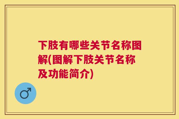 下肢有哪些关节名称图解(图解下肢关节名称及功能简介)