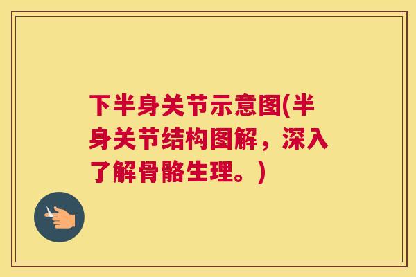 下半身关节示意图(半身关节结构图解，深入了解骨骼生理。)