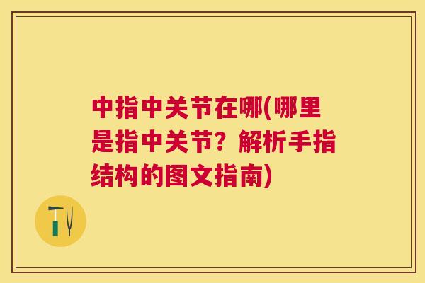中指中关节在哪(哪里是指中关节？解析手指结构的图文指南)