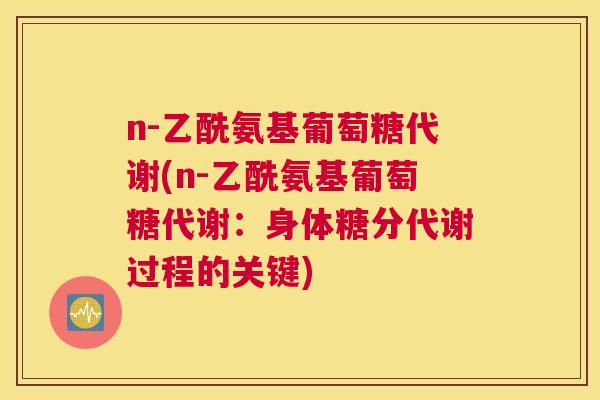 n-乙酰氨基葡萄糖代谢(n-乙酰氨基葡萄糖代谢：身体糖分代谢过程的关键)