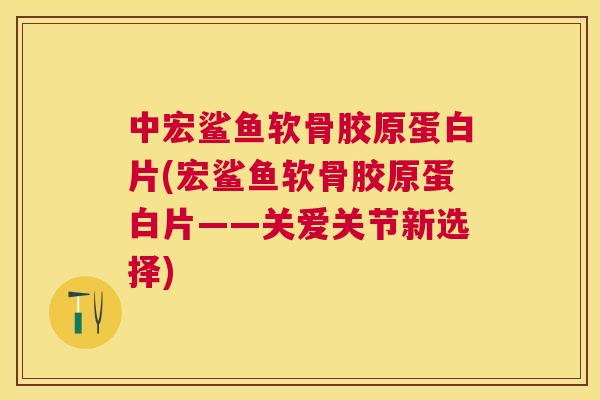 中宏鲨鱼软骨胶原蛋白片(宏鲨鱼软骨胶原蛋白片——关爱关节新选择)