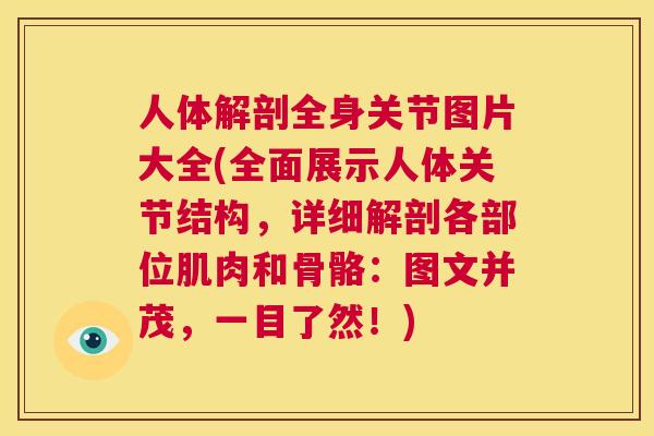 人体解剖全身关节图片大全(全面展示人体关节结构，详细解剖各部位肌肉和骨骼：图文并茂，一目了然！)
