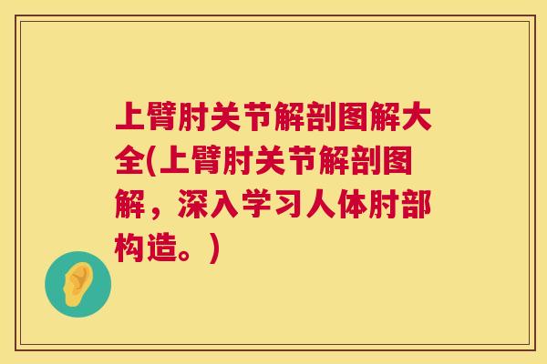 上臂肘关节解剖图解大全(上臂肘关节解剖图解，深入学习人体肘部构造。)