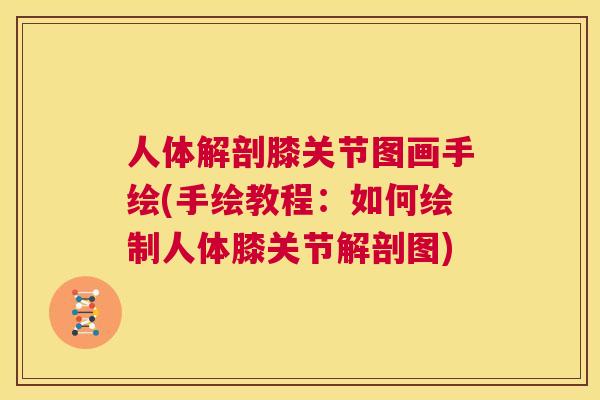 人体解剖膝关节图画手绘(手绘教程：如何绘制人体膝关节解剖图)