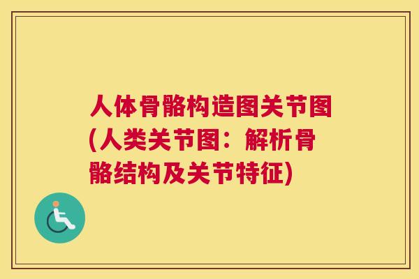 人体骨骼构造图关节图(人类关节图：解析骨骼结构及关节特征)