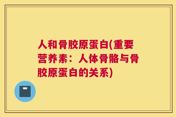 人和骨胶原蛋白(重要营养素：人体骨骼与骨胶原蛋白的关系)
