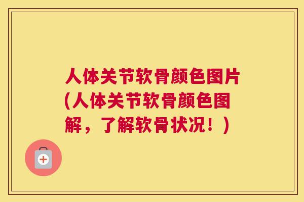 人体关节软骨颜色图片(人体关节软骨颜色图解，了解软骨状况！)