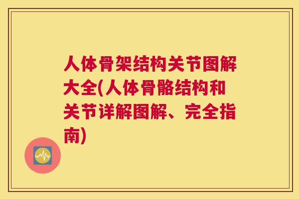 人体骨架结构关节图解大全(人体骨骼结构和关节详解图解、完全指南)