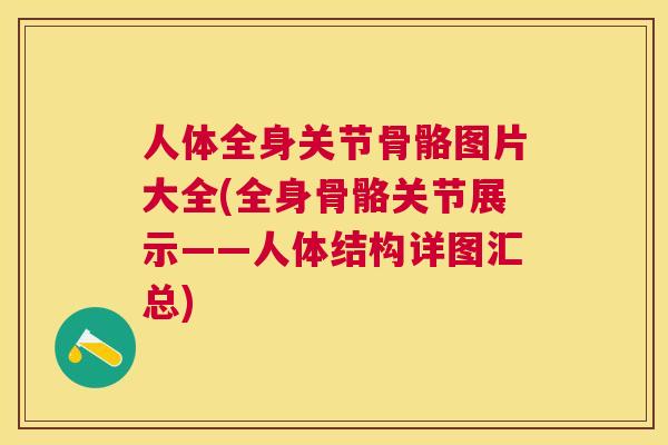 人体全身关节骨骼图片大全(全身骨骼关节展示——人体结构详图汇总)
