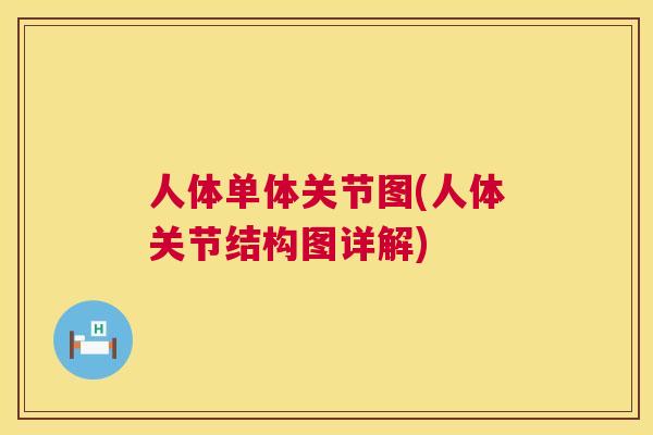 人体单体关节图(人体关节结构图详解)