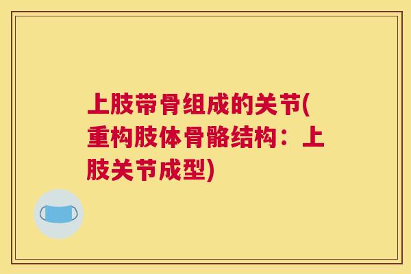 上肢带骨组成的关节(重构肢体骨骼结构：上肢关节成型)