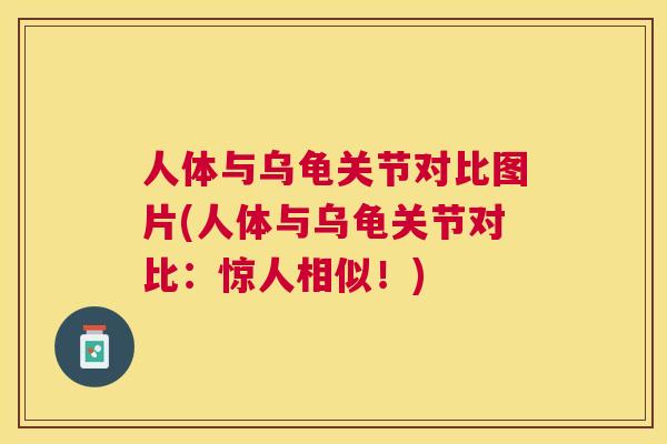 人体与乌龟关节对比图片(人体与乌龟关节对比：惊人相似！)