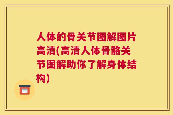 人体的骨关节图解图片高清(高清人体骨骼关节图解助你了解身体结构)