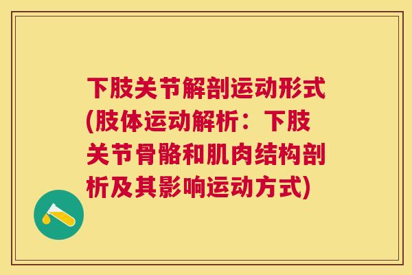 下肢关节解剖运动形式(肢体运动解析：下肢关节骨骼和肌肉结构剖析及其影响运动方式)