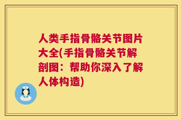 人类手指骨骼关节图片大全(手指骨骼关节解剖图：帮助你深入了解人体构造)