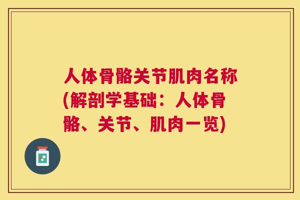人体骨骼关节肌肉名称(解剖学基础：人体骨骼、关节、肌肉一览)