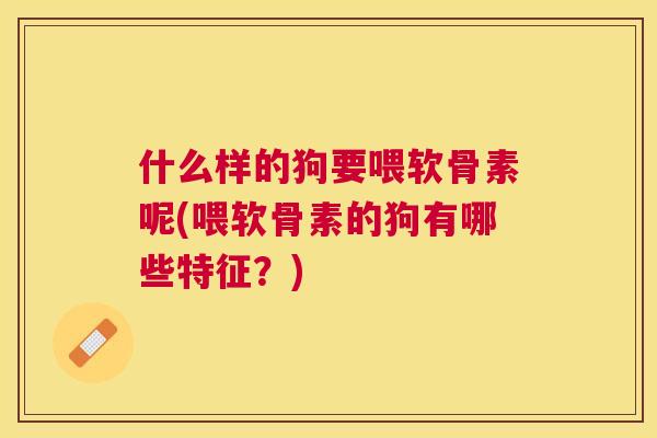 什么样的狗要喂软骨素呢(喂软骨素的狗有哪些特征？)