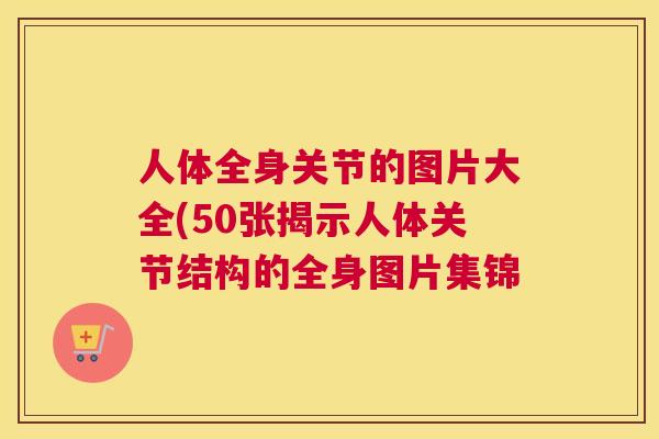 人体全身关节的图片大全(50张揭示人体关节结构的全身图片集锦