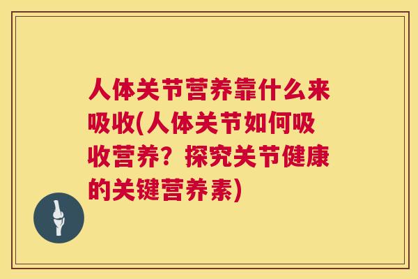 人体关节营养靠什么来吸收(人体关节如何吸收营养？探究关节健康的关键营养素)
