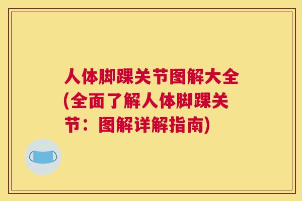 人体脚踝关节图解大全(全面了解人体脚踝关节：图解详解指南)