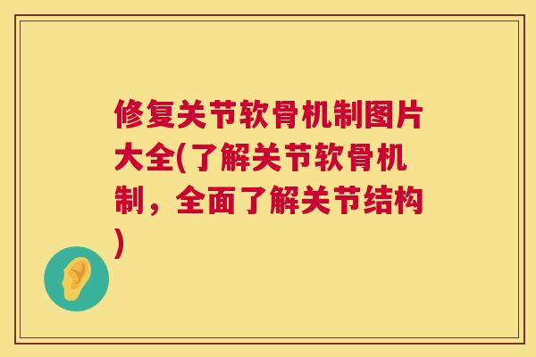 修复关节软骨机制图片大全(了解关节软骨机制，全面了解关节结构)