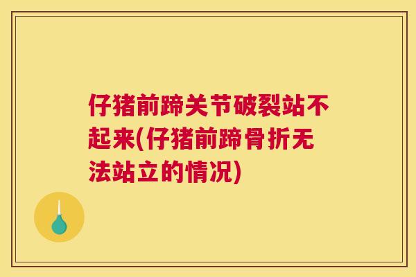 仔猪前蹄关节破裂站不起来(仔猪前蹄骨折无法站立的情况)