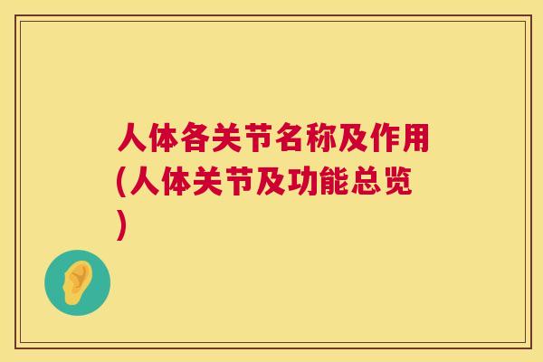 人体各关节名称及作用(人体关节及功能总览)