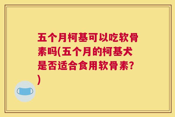 五个月柯基可以吃软骨素吗(五个月的柯基犬是否适合食用软骨素？)