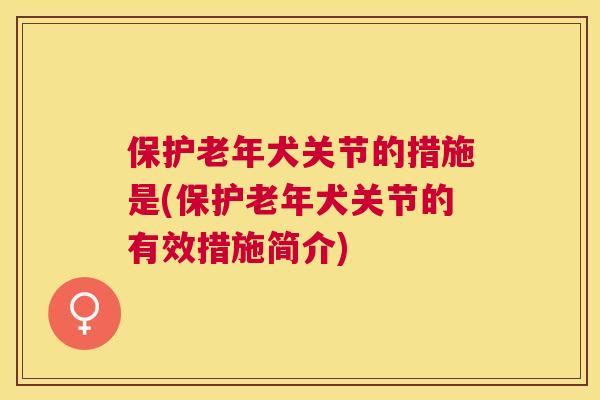 保护老年犬关节的措施是(保护老年犬关节的有效措施简介)