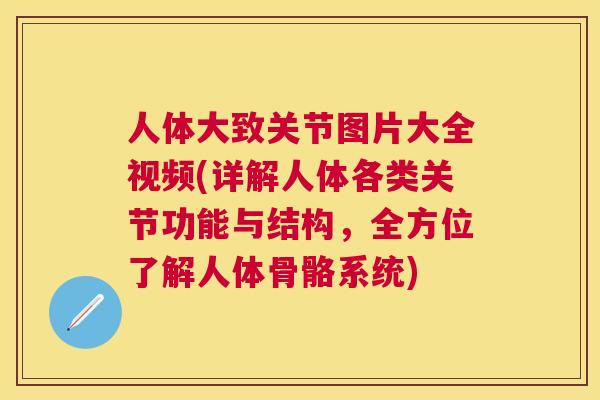 人体大致关节图片大全视频(详解人体各类关节功能与结构，全方位了解人体骨骼系统)