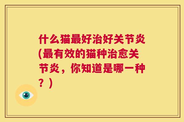 什么猫最好治好关节炎(最有效的猫种治愈关节炎，你知道是哪一种？)