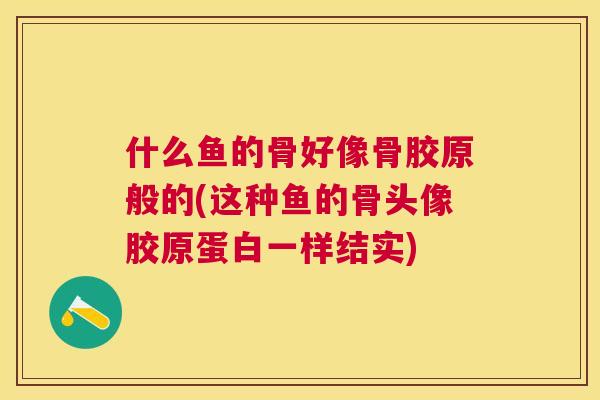 什么鱼的骨好像骨胶原般的(这种鱼的骨头像胶原蛋白一样结实)