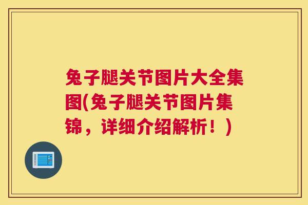 兔子腿关节图片大全集图(兔子腿关节图片集锦,详细介绍解析!)