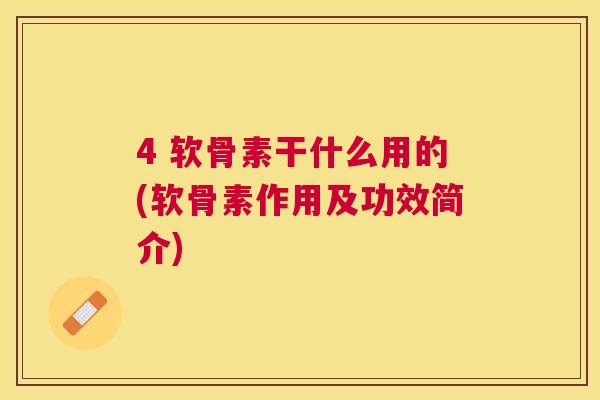 4 软骨素干什么用的(软骨素作用及功效简介)