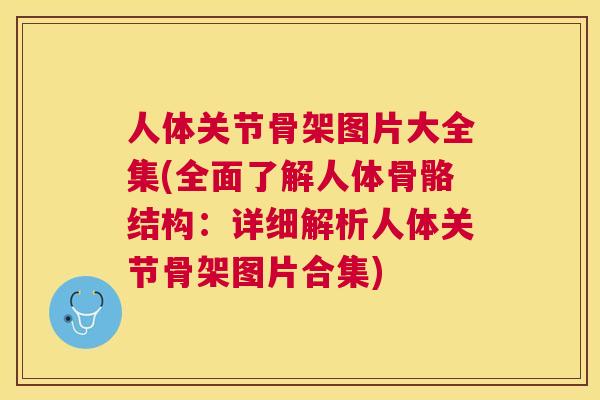人体关节骨架图片大全集(全面了解人体骨骼结构:详细解析人体关节骨架图片合集)
