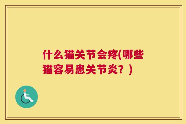 什么猫关节会疼(哪些猫容易患?) 什么猫关节会疼(哪些猫容易患?)