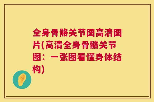 全身骨骼关节图高清图片(高清全身骨骼关节图：一张图看懂身体结构)