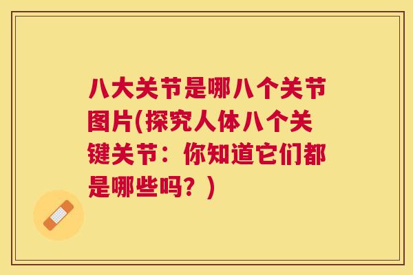 八大关节是哪八个关节图片(探究人体八个关键关节:你知道它们都是哪些吗?) 八大关节是哪八个关节图片(探究人体八个关键关节:你知道它们都是哪些吗?)