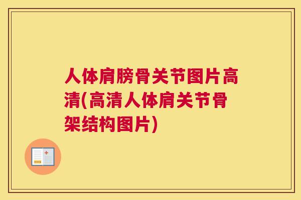 人体肩膀骨关节图片高清(高清人体肩关节骨架结构图片) 人体肩膀骨关节图片高清(高清人体肩关节骨架结构图片)