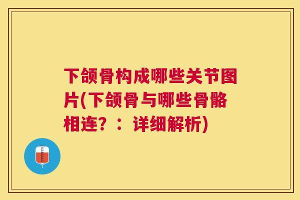 下颌骨构成哪些关节图片(下颌骨与哪些骨骼相连?:详细解析) 下颌骨构成哪些关节图片(下颌骨与哪些骨骼相连?:详细解析)