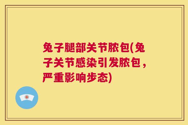 兔子腿部关节脓包(兔子关节感染引发脓包，严重影响步态)