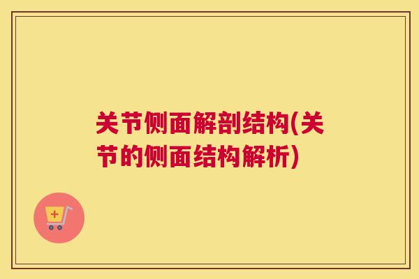 关节侧面解剖结构(关节的侧面结构解析)