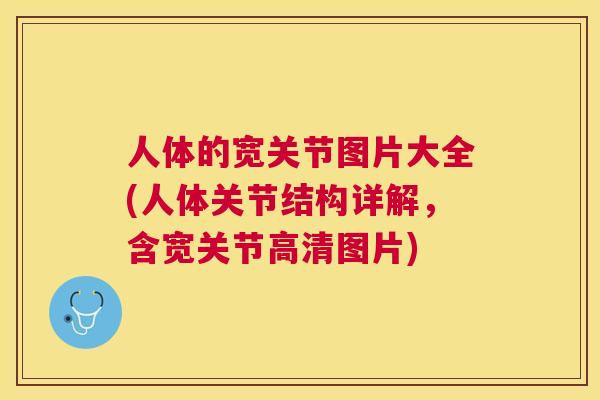 人体的宽关节图片大全(人体关节结构详解，含宽关节高清图片)