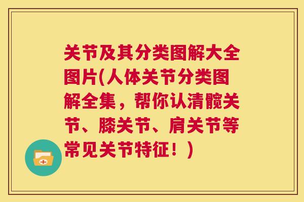 关节及其分类图解大全图片(人体关节分类图解全集,帮你认清髋关节、膝关节、肩关节等常见关节特征!)